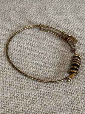 Alex and Ani snake bracelet